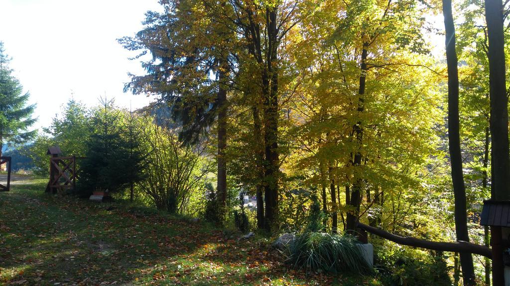 Fatrapark 1 U Sovicky Studio, Kuchynka, Kupelna,S Balkonom Gratis Parkovanie V Podzemnej Garazi Ruzomberok Εξωτερικό φωτογραφία