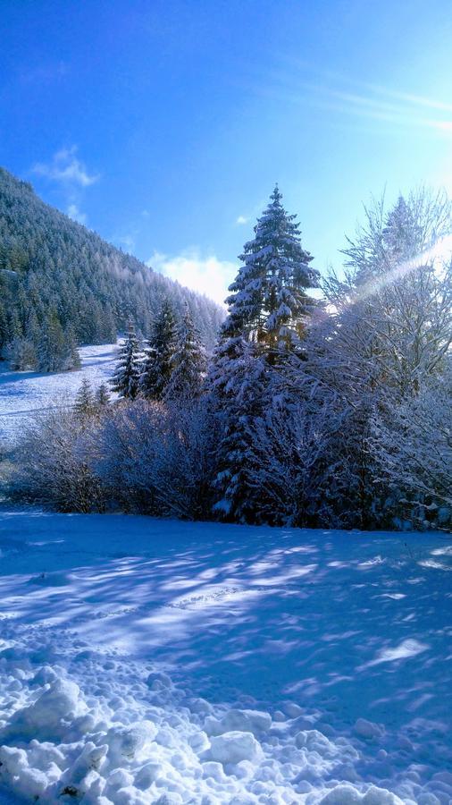 Fatrapark 1 U Sovicky Studio, Kuchynka, Kupelna,S Balkonom Gratis Parkovanie V Podzemnej Garazi Ruzomberok Εξωτερικό φωτογραφία
